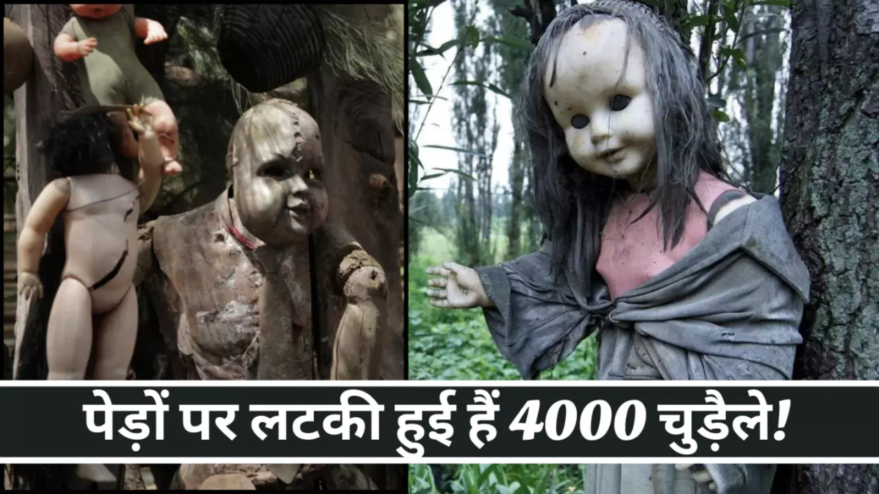 इस आइसलैंड पर पेड़ों पर लटकी हुई हैं 4000 चुड़ैले! पढ़े पूरा रहस्य इस आइसलैंड पर पेड़ों पर लटकी हुई हैं 4000 चुड़ैले! पढ़े पूरा रहस्य