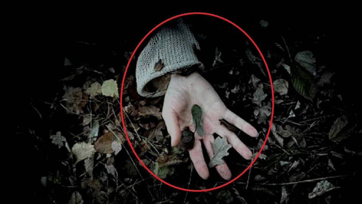 66a7a55e6774d-murder-292117760-16×9