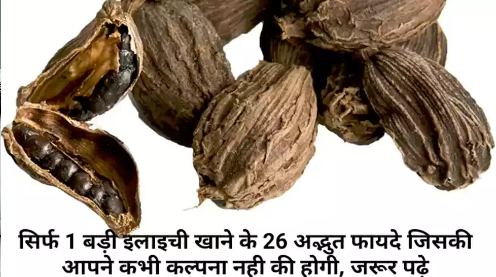ayurveda 1