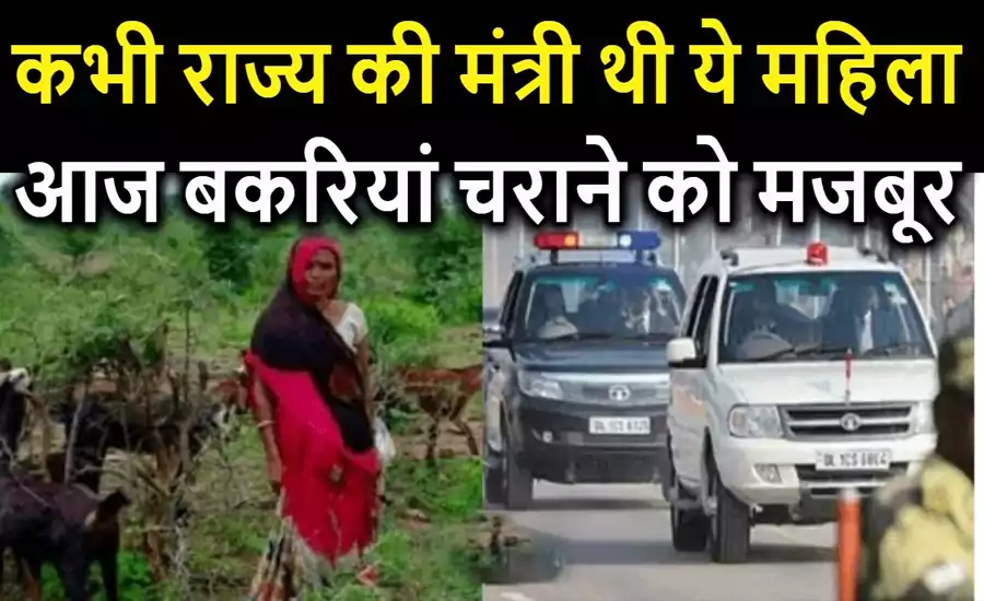 कभी लाल बत्ती वाली गाड़ी में चला करती थीं ये महिला, आज बकरी चराकर कर रही है अपना गुजारा कभी लाल बत्ती वाली गाड़ी में चला करती थीं ये महिला, आज बकरी चराकर कर रही है अपना गुजारा