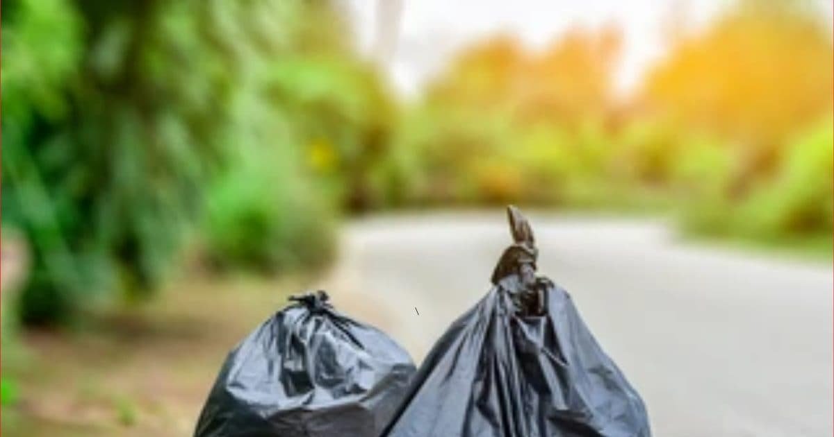 plastic-bag-2025-08-c83afda33ab86c7a1d1baf5336f99f68-16×9