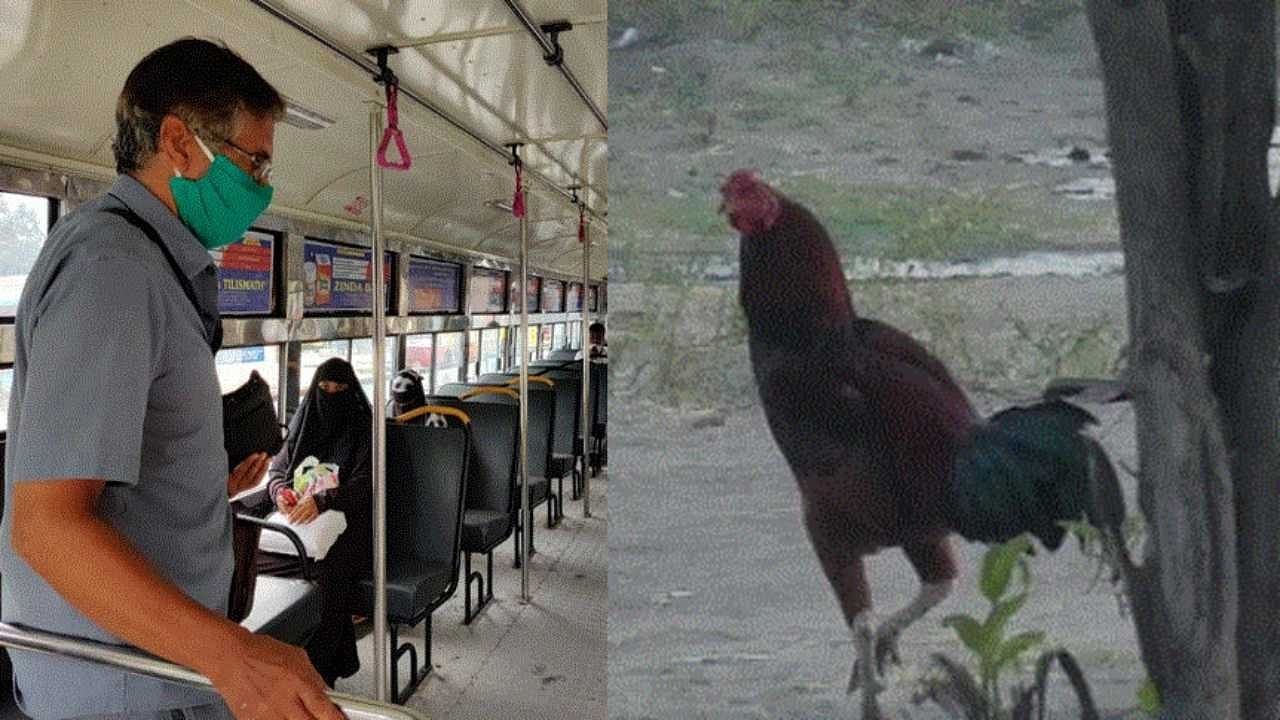 जब बस में सफर कर रहा था मुर्गा, कंडक्टर ने काट दिया 30 रुपए का टिकट, देखें फिर क्या हुआ जब बस में सफर कर रहा था मुर्गा, कंडक्टर ने काट दिया 30 रुपए का टिकट, देखें फिर क्या हुआ