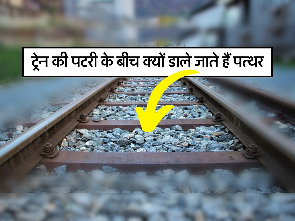 ट्रेन की पटरी के बीच क्यों डाले जाते हैं पत्थर आपको भी नहीं पता होगा इसका कारण ट्रेन की पटरी के बीच क्यों डाले जाते हैं पत्थर आपको भी नहीं पता होगा इसका कारण