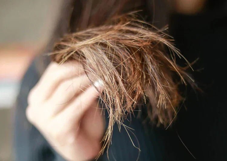 How_to_get_rid_of_split_ends_1_6303ca76-ab62-45d8-9168-a00eeb931e91
