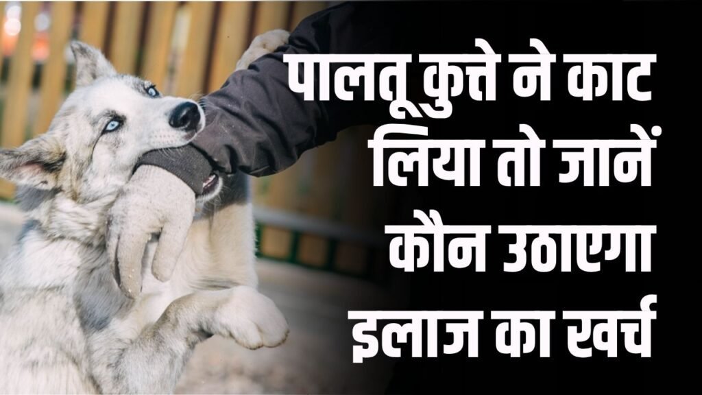 आपके पालतू कुत्ते ने किसी को काटा तो क्या होगा? जानें कौन उठाएगा इलाज का खर्च आपके पालतू कुत्ते ने किसी को काटा तो क्या होगा? जानें कौन उठाएगा इलाज का खर्च