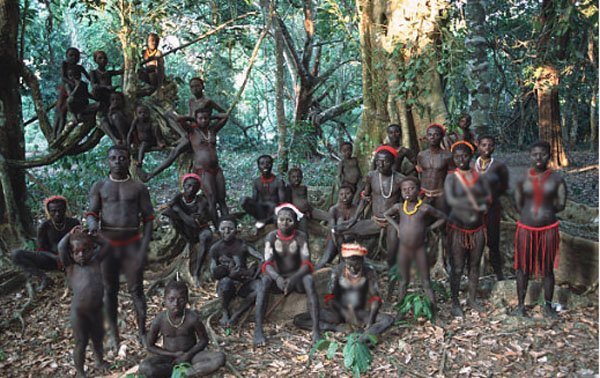 jarawa-janjati-25.6.19-2