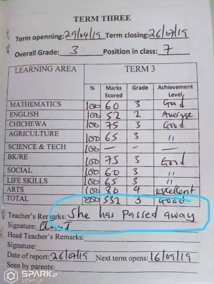 report-card