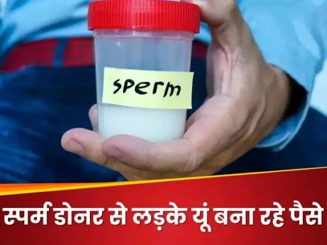 यहां स्पर्म डोनर लड़के बन रहे लखपति, कमाई के लिए करते हैं ऐसा काम! इंडिया में मिलते हैं कितने पैसे?..