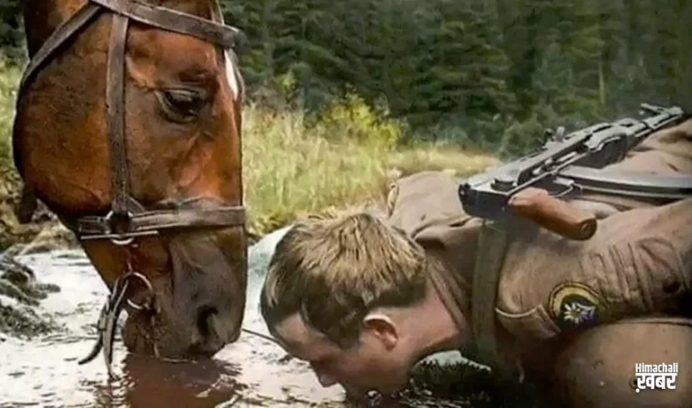 ghoda pani pite huye