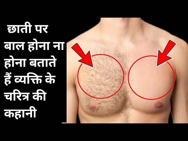 छाती पर बाल होना या न होना बताते है व्यक्ति के चरित्र की कहानी, जानें पुरुषों की छाती से जुड़े गुप्त संकेत` छाती पर बाल होना या न होना बताते है व्यक्ति के चरित्र की कहानी, जानें पुरुषों की छाती से जुड़े गुप्त संकेत`
