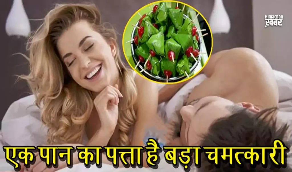 सोने से पहले शादीशुदा पुरुष खा लें सिर्फ़ एक पान, फिर देखें क़माल सोने से पहले शादीशुदा पुरुष खा लें सिर्फ़ एक पान, फिर देखें क़माल