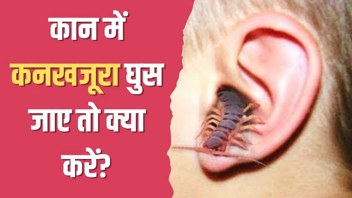 कान में कनखजूरा घुस जाए तो क्या करें? योग गुरु कैलाश बिश्नोई ने बताया इस एक काम को करने पर तुरंत आ जाएगा बाहर` कान में कनखजूरा घुस जाए तो क्या करें? योग गुरु कैलाश बिश्नोई ने बताया इस एक काम को करने पर तुरंत आ जाएगा बाहर`