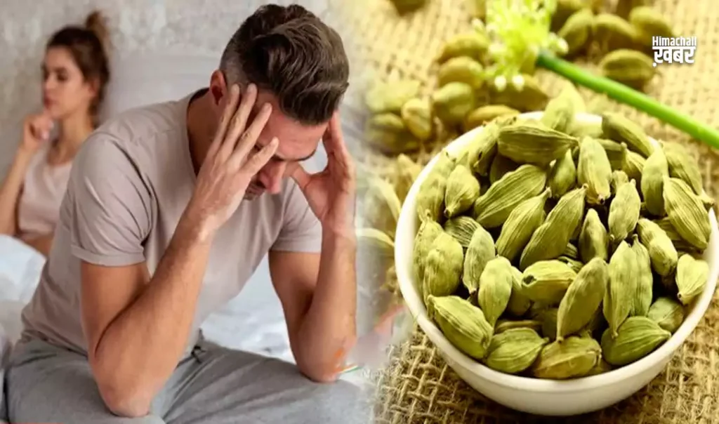 महिला और पुरुष की सेक्स लाइफ के लिए वरदान होती है इलायची, जाने इसे खाने के धांसू वाले फायदे` महिला और पुरुष की सेक्स लाइफ के लिए वरदान होती है इलायची, जाने इसे खाने के धांसू वाले फायदे`