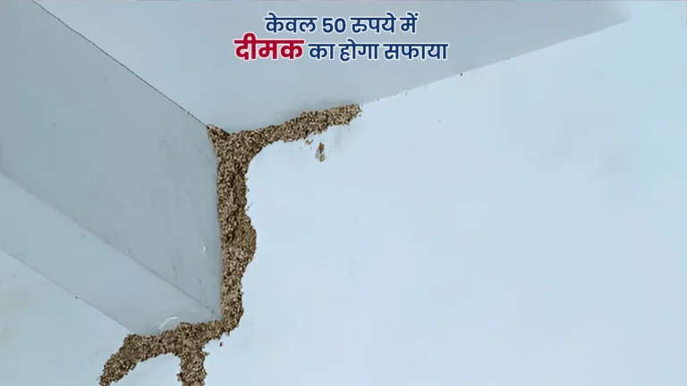 Termite Removal Hacks