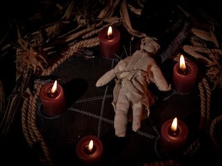 Malagasy-leaf-nosed-snake-2025-06-14T140401.769-2025-06-e9fdf21b81f4475a5ab6a1c8253327f4