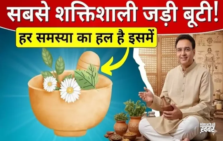 sabse shaktishali jadi booti