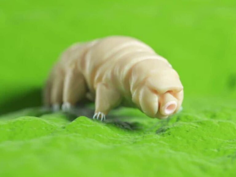 facts-2025-11-a0adc6505331abe0c258a1d132dbd80a