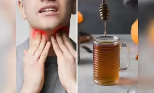 सीने में जमा बलगम हो या गले की कफ बस 1 गांठ से पाएं तुरंत राहत “ऐसा असर की दवाइयाँ भी फेल हो जाएं सीने में जमा बलगम हो या गले की कफ बस 1 गांठ से पाएं तुरंत राहत “ऐसा असर की दवाइयाँ भी फेल हो जाएं