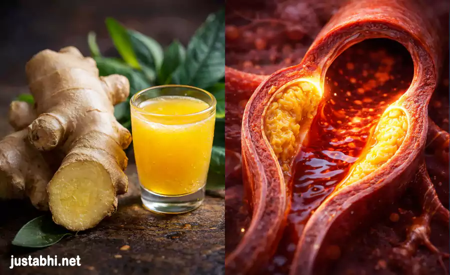 हार्ट ब्लॉकेज खोलने की सबसे अच्छी और सबसे सच्ची अद्भुत जड़ी-बूटी परिणाम आप खुद बताओगे हमे, जरूर पढ़े हार्ट ब्लॉकेज खोलने की सबसे अच्छी और सबसे सच्ची अद्भुत जड़ी-बूटी परिणाम आप खुद बताओगे हमे, जरूर पढ़े