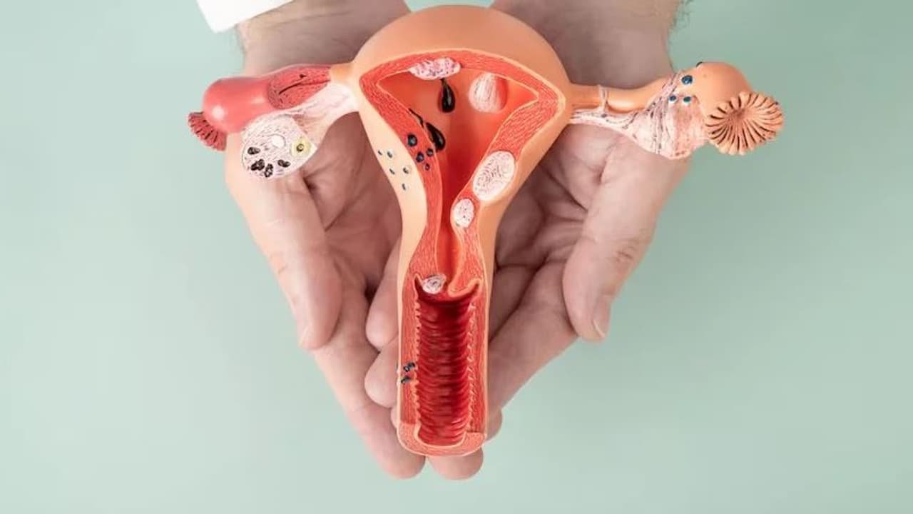 Vaginal Steaming: क्या​​ वजाइना की सफाई के लिए जरूरी है वेजाइनल स्टीमिंग? जानें डॉ. की राय